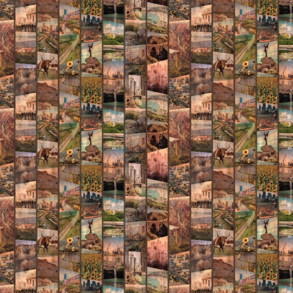 Historic Highway Scenes from Route 66 Cotton Fabric