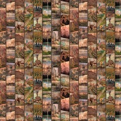 Historic Highway Scenes from Route 66 Cotton Fabric