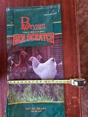 Empty Chicken Hen Feed Woven Plastic Sack Crafts Art Repurpose Yard/Wall Decor