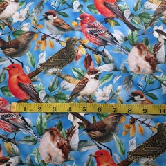 Songbirds Medium Blue Cotton Fabric 44″ By The Yard