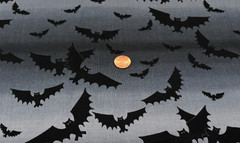 Black Bats* Yellow Eyes* Flying on Grey/Black * Northcott *100% Cotton* 8″x22″