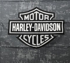 Harley Davidson Fabric Shield Panel Gray Black White 18” x 18” Cotton/Poly New