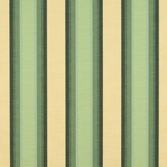 Sunbrella® Colonnade Juniper 4856-0000 Awning Marine Shade Outdoor Fabric 46″ W