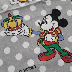 Rare Disney Vintage Duvet Cover Single Side