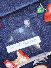 2x Lot Blue Red Apple Print Cotton Sewing Craft Quilting Fabric Interior