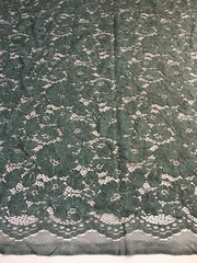 Summer HUNTER GREEN Floral Pattern Double Dyed Flat Lace on Mesh Fabric by the