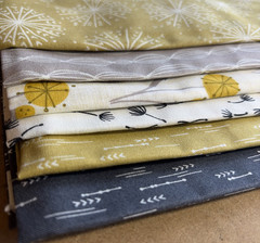 Annie’s Creative Quilters Fabric + Pattern Petal Pusher Collection FQ097 New