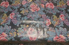 2 Pcs Waterproof Floral Oilcloth Fabric 29″ x 4 Yards Each Vinyl Coated