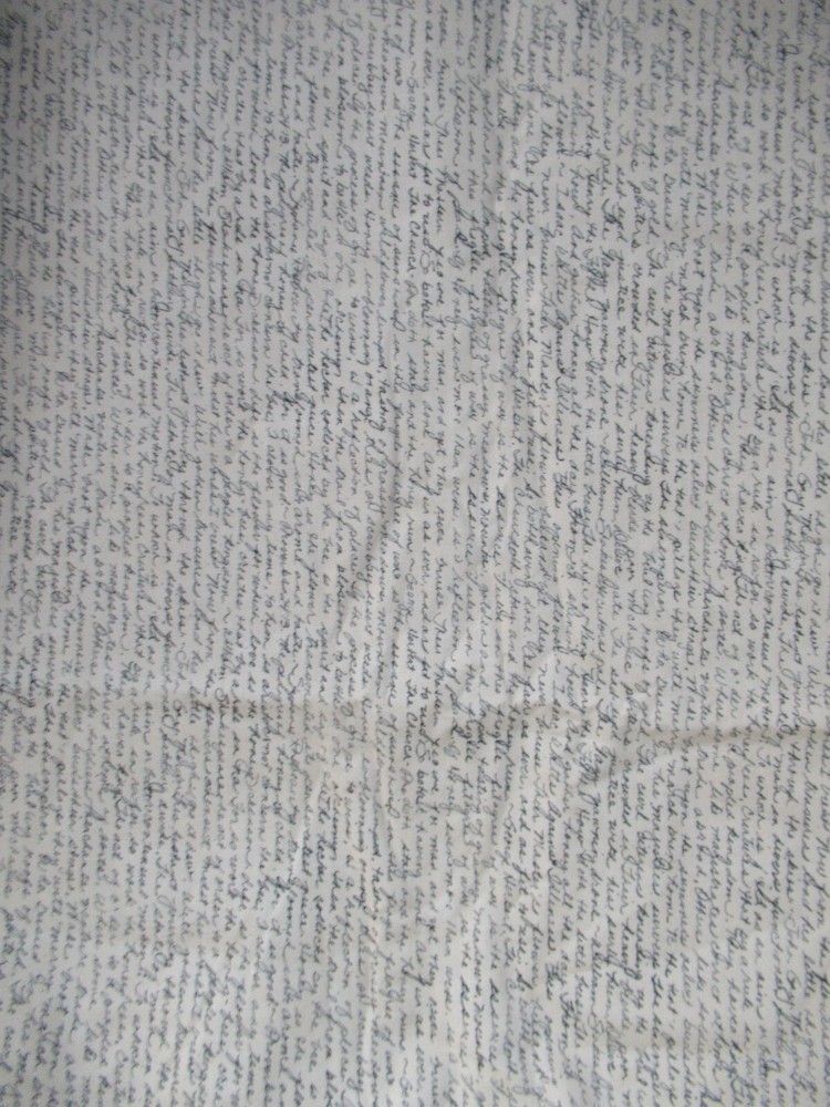 “BEE CREATIVE” By Deb Strain For MODA Parchment Text COTTON FABRICS SBTYX44