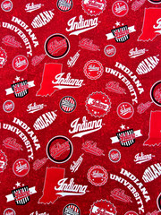 NEW UNIVERSITY of INDIANA HOOISERS Pattern 1208 – BTHYD