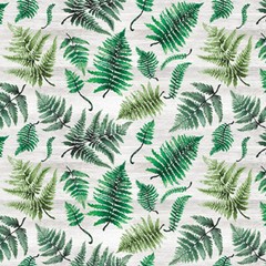 Foliage Fabric Fern Plants Rural Fantasies Blank Quilting Cotton By The Yard