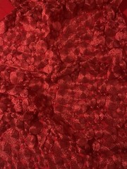 Designer Red Coil Circles High End Speciality Fabric 54×30”