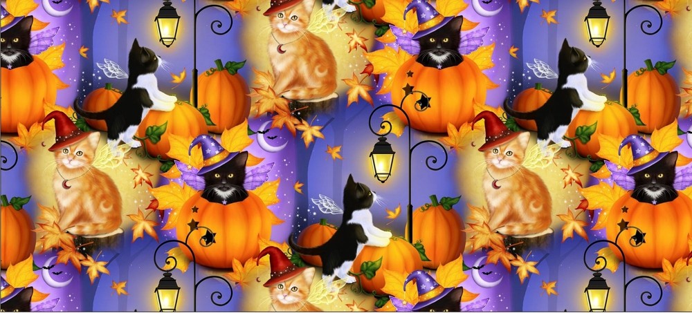 Halloween Fabric – Fairy Cats Costume Pumpkin – David Textiles 1.61 YARD