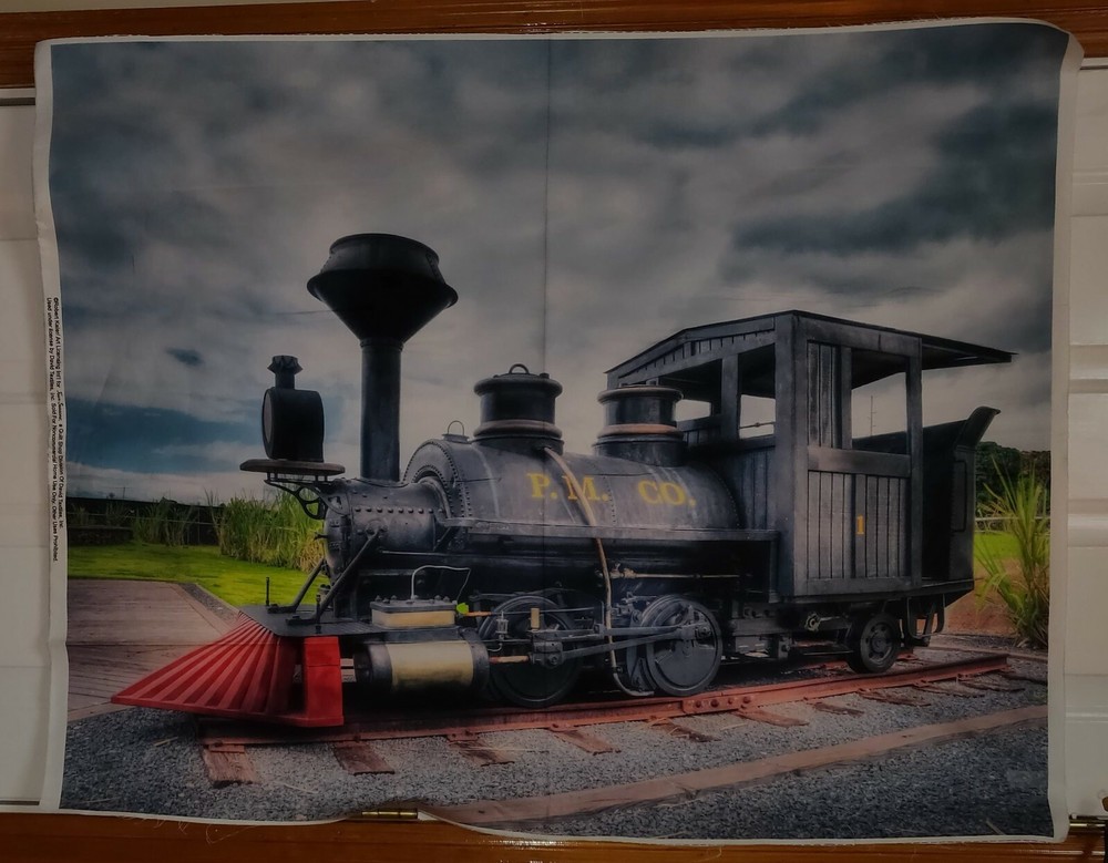 Train Digital Panel by David Textiles btp