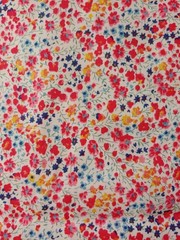 Liberty Of London Tana Phoebe Lawn Fabric 2 Yards Sewing