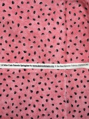 Springtime Fabric Lil Miss by Desiree Designs Red Rooster 21241 Cotton 44″ 1 Yrd