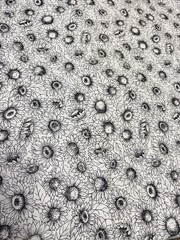 SUNFLOWER SUNFLOWERS BLACK WHITE 1 yard 100% Cotton Fabric Free Ship SBX1
