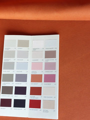 Woven Upholstery Fabric / Heat Width : 153 cm. Length : 4.20 metres