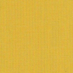 Sunbrella® Indoor / Outdoor Upholstery Fabric – Spectrum Daffodil 48024-0000 54″