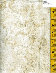 Stonehenge 3953-25 Quilt fabric Cotton by Northcott Maroon Wine