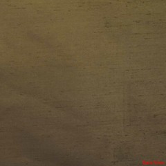 Boat Woven Fabric | Metallic Gold Beige Tan 58 Inch (YD)