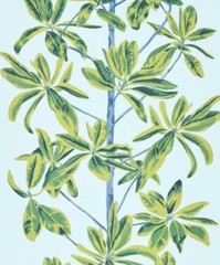 Thibaut Curtain Fabric ‘MANGROVE TREE’ 3.8 METRES TURQOISE Linen Blend