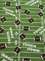 JoAnn Snuggle Flannel Fabric 2 Yards Football Touch Down NEW