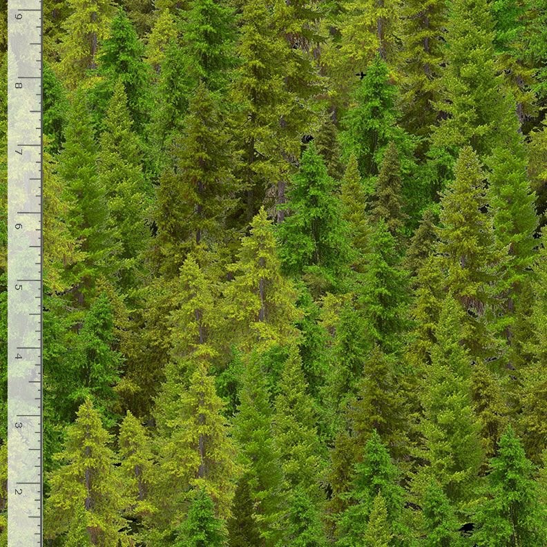 Green Pine Tree Forest Fabric By Yard Evergreen Cotton Timeless Treasures CD3831