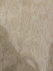 NEW Ivory Off White Stretch Netting Soft Apparel Fabric Lace Floral 2 Yards