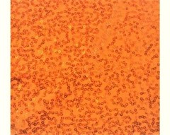 Luxury Sequin Dance Wear Stretch Fabric Material – FLO ORANGE