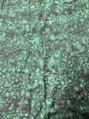 Green Splotchy different both sides 1 yard 100% Cotton Fabric Free Ship SBB2