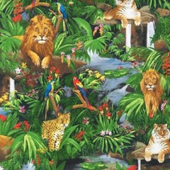 Feline