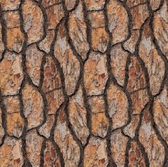 Blank Quilting Wilderness Song Brown Tree Bark Cotton Fabric by the Yard