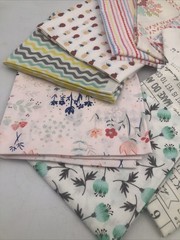 10 Piece Fat Quarters by Dear Stella for Hawthorne Supply Co Birds Pineapple