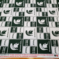 Michigan State Spartans Fabric Go Green 65 x 41 Precut