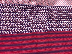 Running 8ths Eights Springs Creative CP 20525 Fabric Material Textile 1 + Yard
