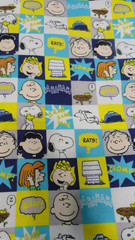 Peanuts Worldwide 2021 Flannel Fabric Checks Comic Grid 1 yd x 44″Snoopy & Gang