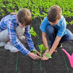 Landscape Fabric Weed Barrier Ground Cover Garden Liner Tarp 6ft x 100ft
