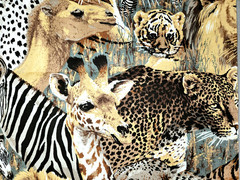 1 Yard Of Cotton Fabric Animals Lion Zebra Bear Leopard Giraffe Tiger Camel #03