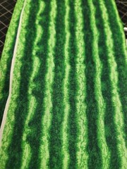 Watermelon Picnic Summer Ants Applique Quilting fabric 100 cotton by 1/2 yard