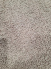 Dedar Nimbus Soft Wool Boucle Fabric in 004/Nude 2.5 Yards New