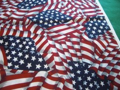 Lot of Patriotic Red White Blue Fabric Pieces Flag Words & Valance