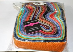 Jelly Roll Mix Pack – 100 count 2.5 inch Cotton Mystery Pack