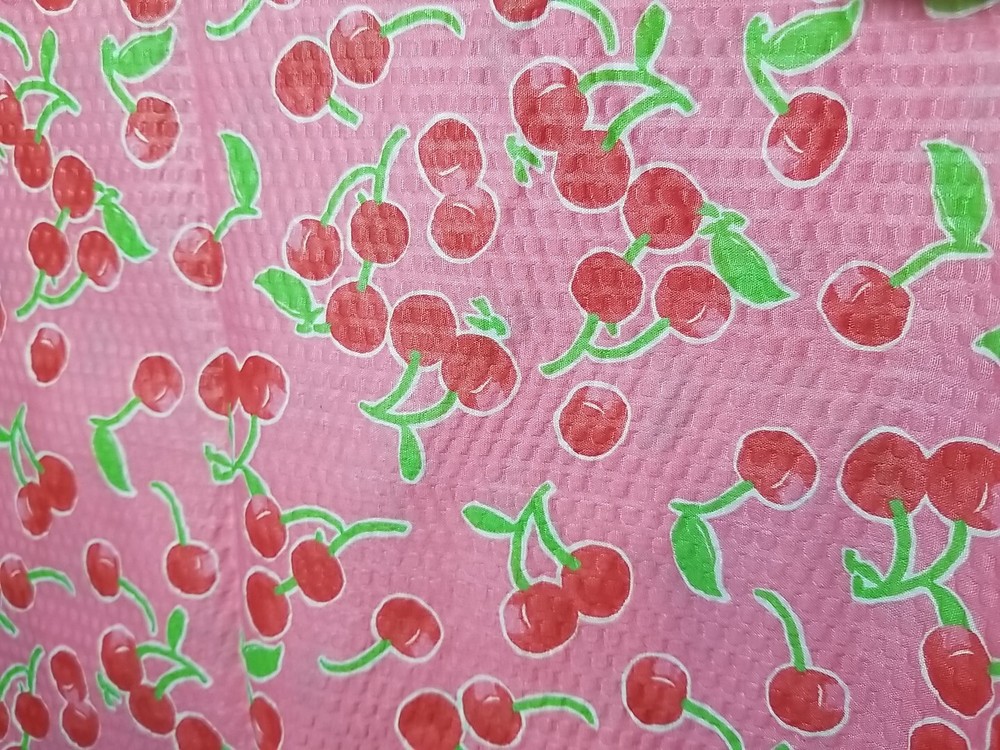 1 Yard 15 Inches CP30306 Sunny Fruit Small Toss Springs Creative Products 2009