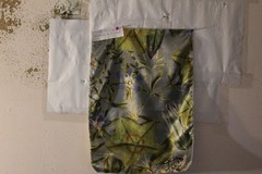 Clarke & Clarke Passiflora on Velvet Floral on Velvet Various Colors and Sizes