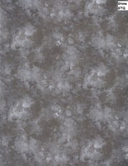 Solid-ish Tone on Tone cotton quilt fabric BTY Timeless Treasure SPROUT green