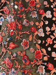 Italian designer Chiffon Velvet Burnout black base with red blue peach shades