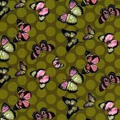 Michael Miller Papillion Sunset Quilt Fabric Butterfly