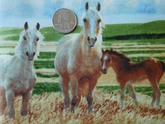 1 yard cotton quilt fabric MUSTANG MEADOW Nancy Glazier SSI South Sea Import BTY