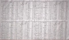 Old Time Grocery General Store Ledger Cotton Fabric Fowl Play QT 24″ Panel